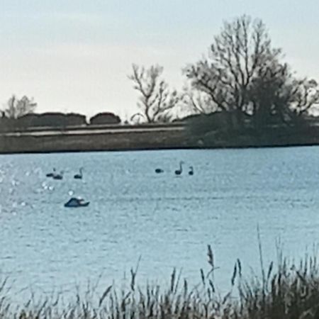 Aigues Mortes Studio De Vacances En Camargue Kültér fotó