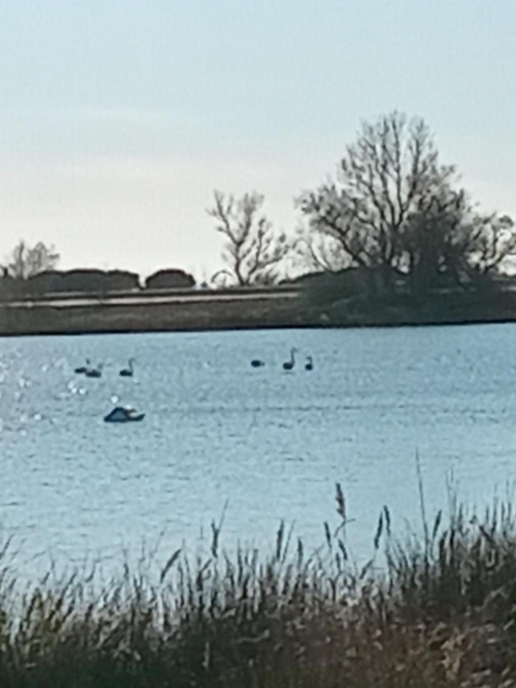 Aigues Mortes Studio De Vacances En Camargue Kültér fotó
